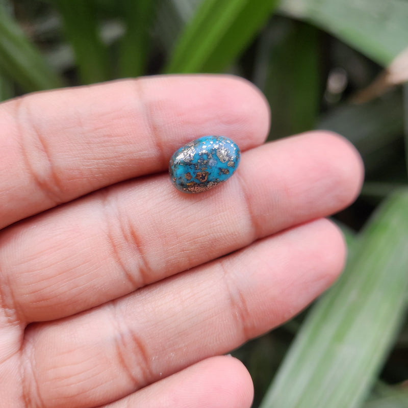 Irani Firoza Turquoise Stone- 8.12 Carat