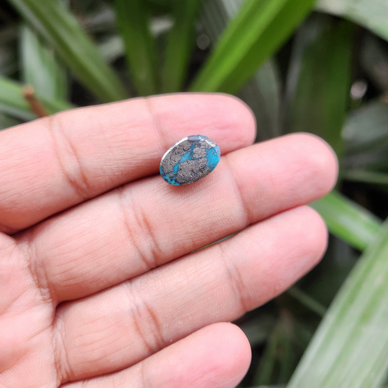 Irani Firoza Turquoise Stone- 8.12 Carat