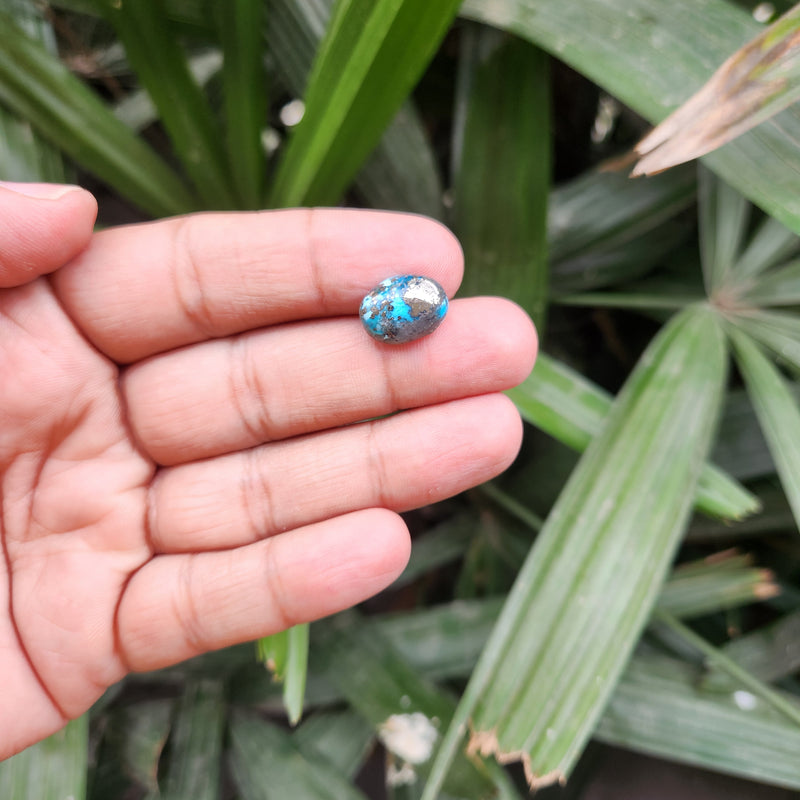 Irani Firoza Turquoise Stone- 7.89 Carat