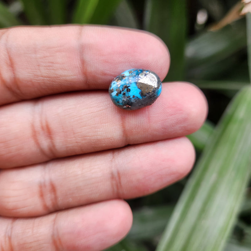 Irani Firoza Turquoise Stone- 7.89 Carat
