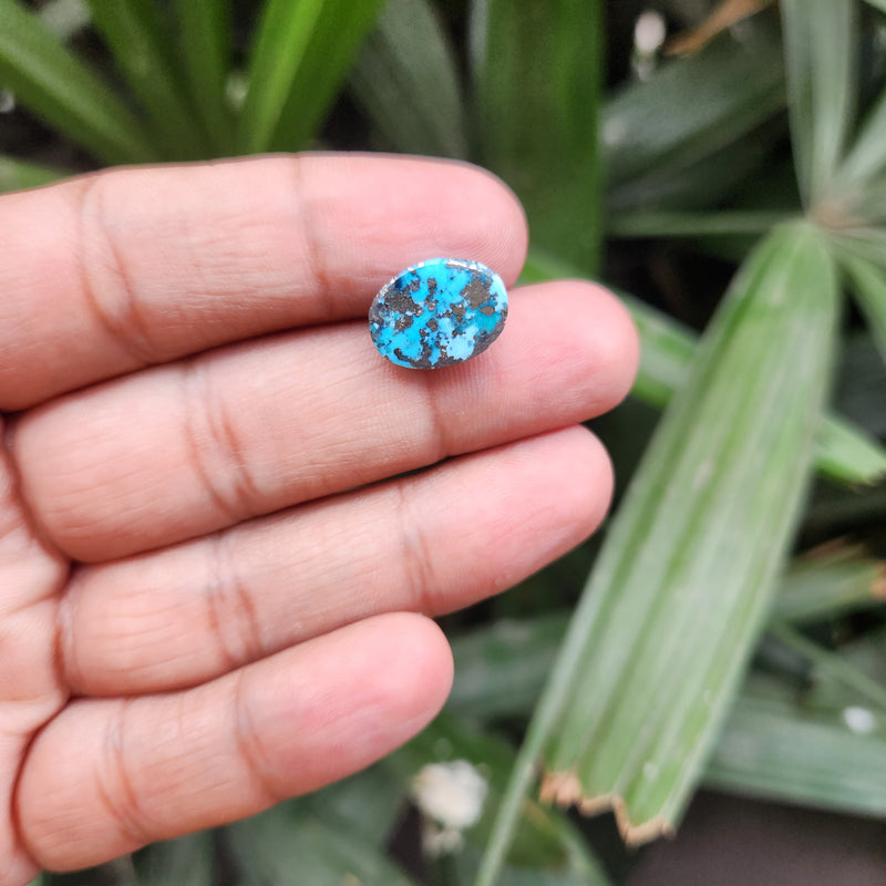 Irani Firoza Turquoise Stone- 7.89 Carat