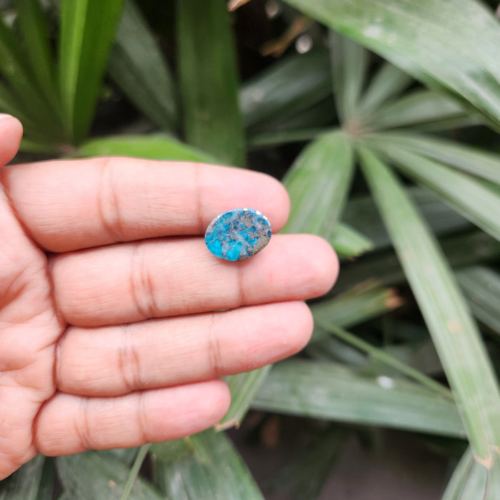Irani Firoza Turquoise Stone- 9.25 Carat