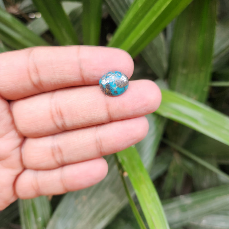 Irani Firoza Turquoise Stone- 5.83 Carat
