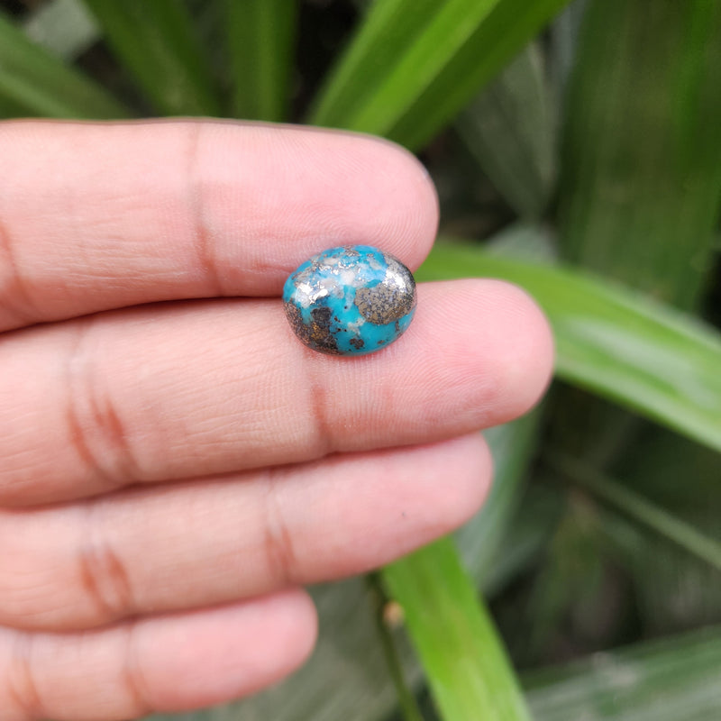 Irani Firoza Turquoise Stone- 5.83 Carat