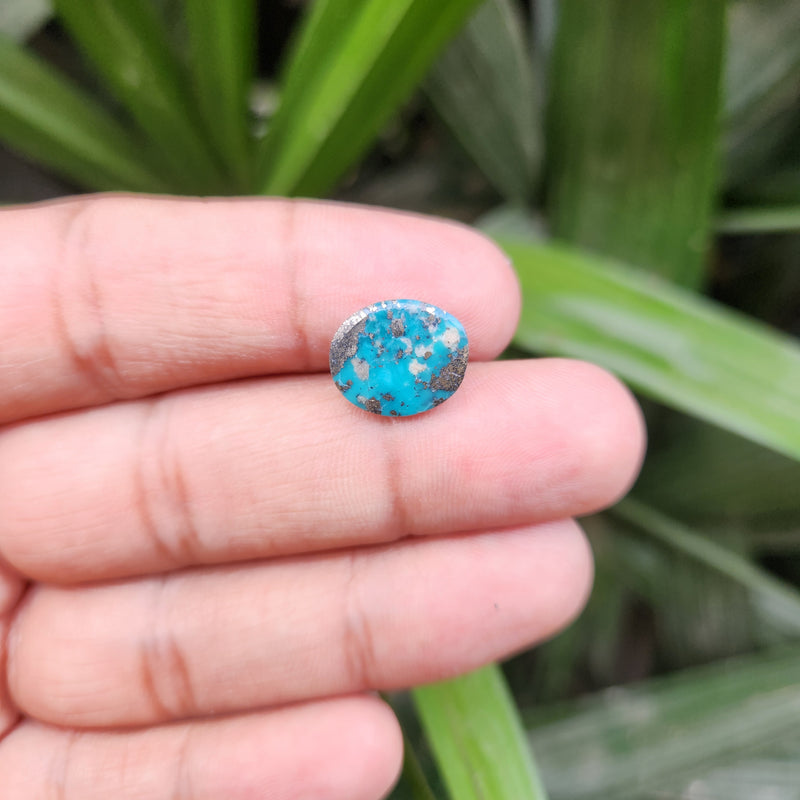 Irani Firoza Turquoise Stone- 5.83 Carat