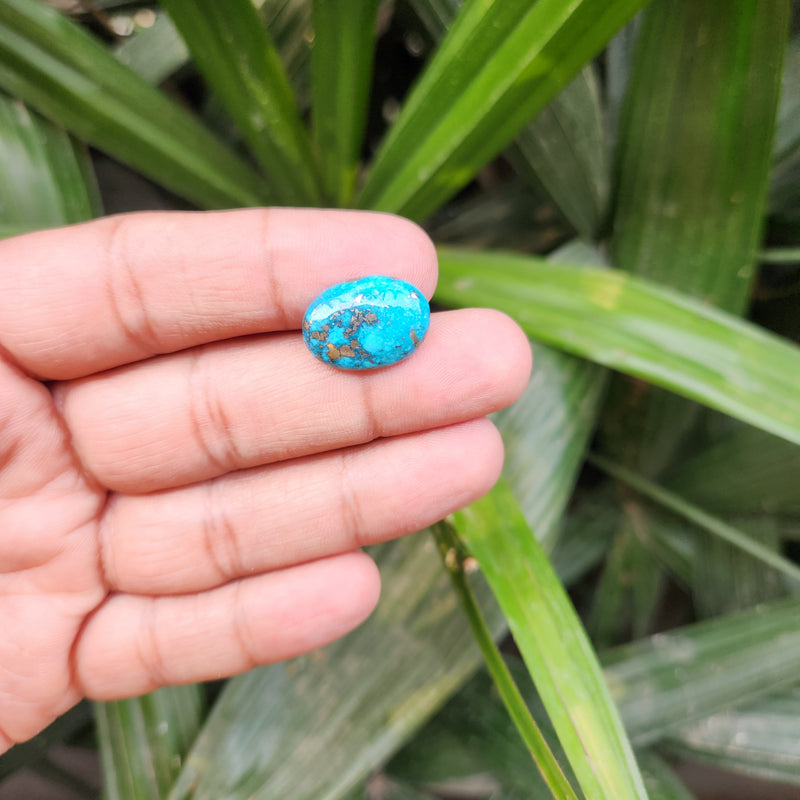 Irani Firoza Turquoise Stone- 10.83 Carat