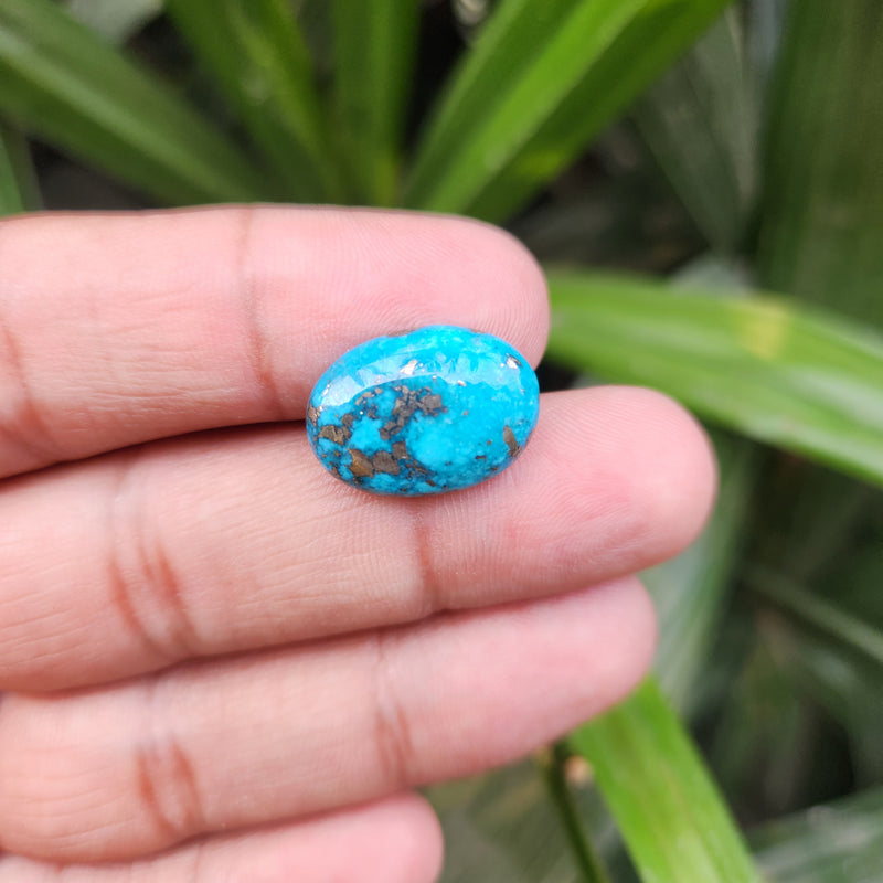 Irani Firoza Turquoise Stone- 10.83 Carat