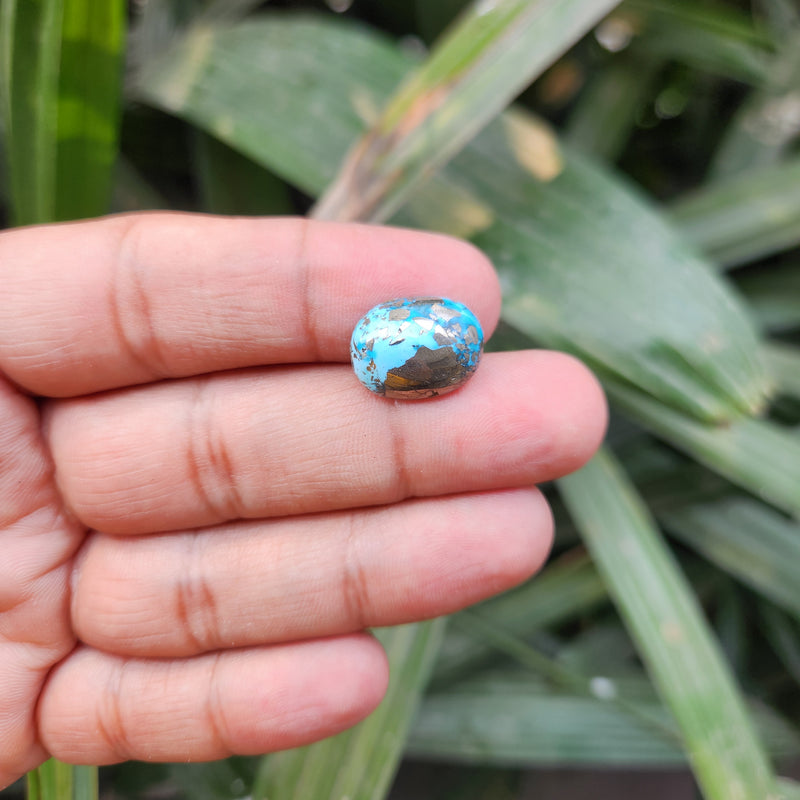 Irani Firoza Turquoise Stone- 11.35 Carat