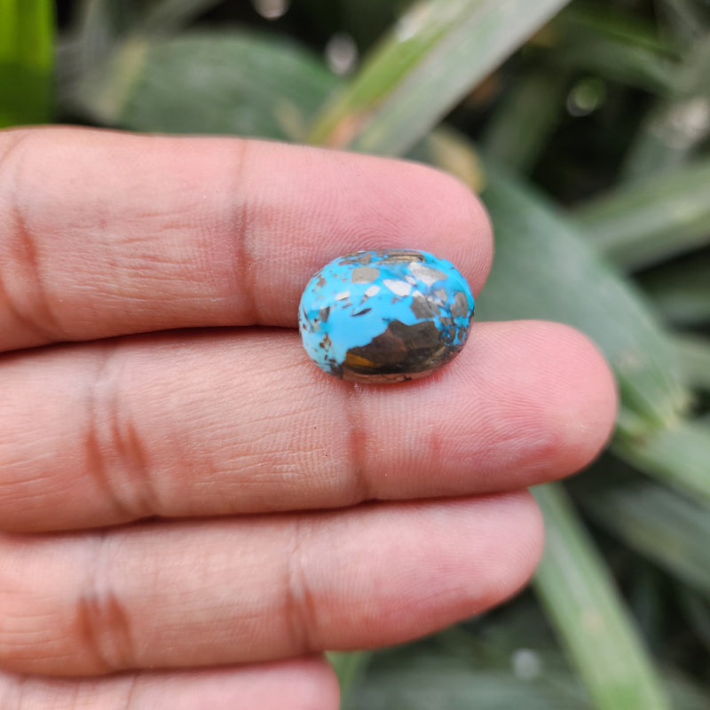 Irani Firoza Turquoise Stone- 11.35 Carat