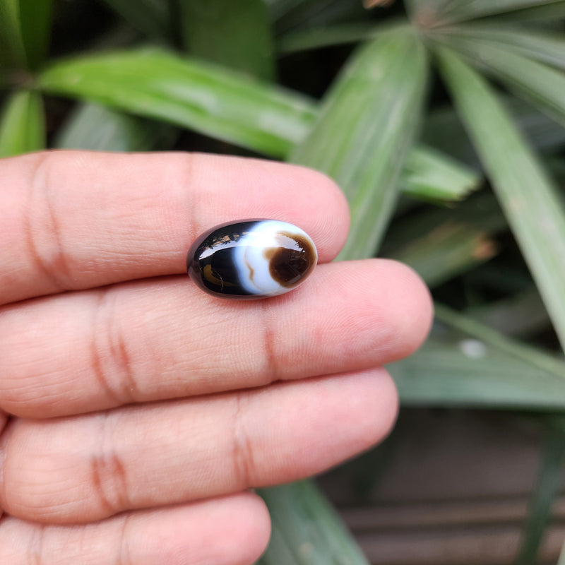 Sulemani  Hakik Stone- 12.70 Carat