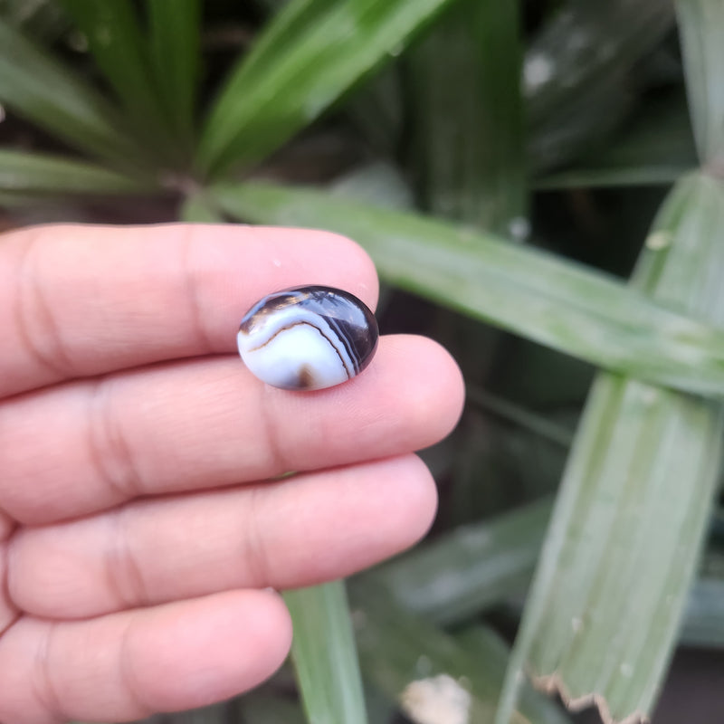 Sulemani  Hakik Stone- 12.08 Carat