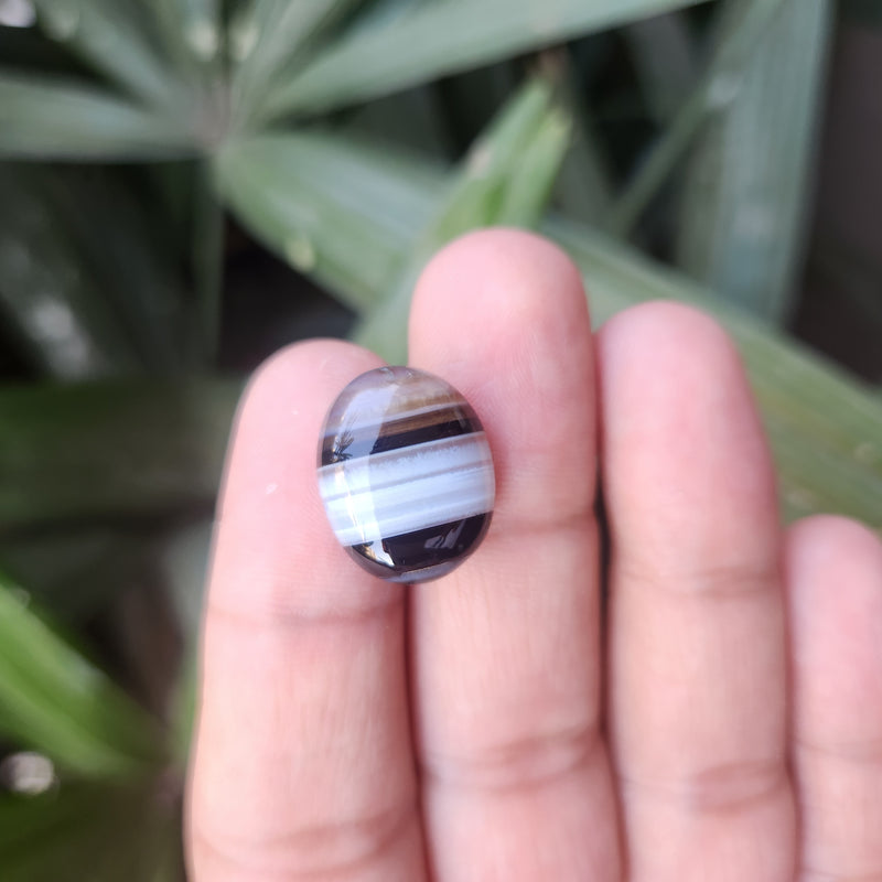 Sulemani  Hakik Stone- 15.86 Carat