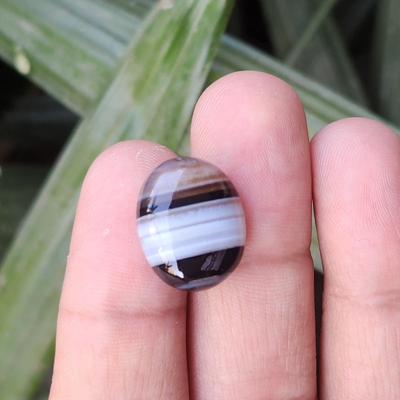 Sulemani  Hakik Stone- 15.86 Carat