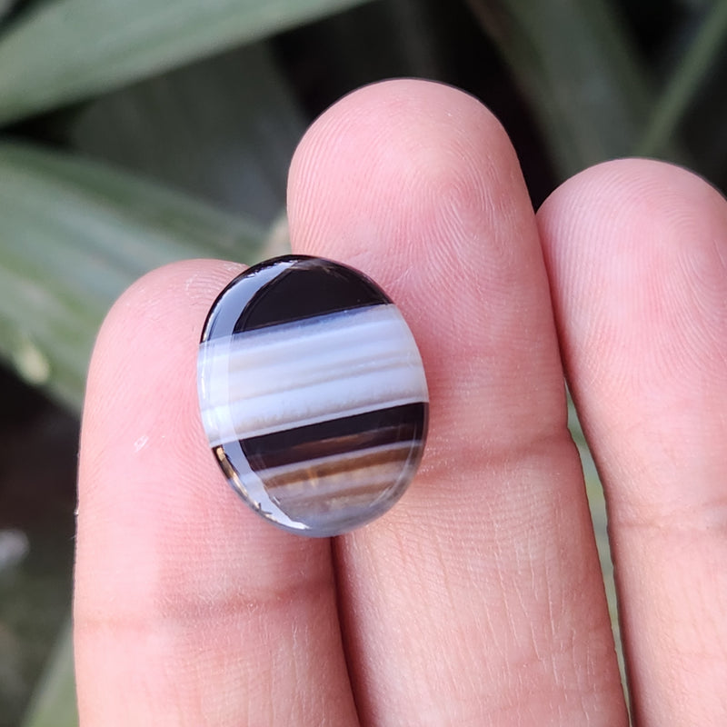 Sulemani  Hakik Stone- 15.86 Carat