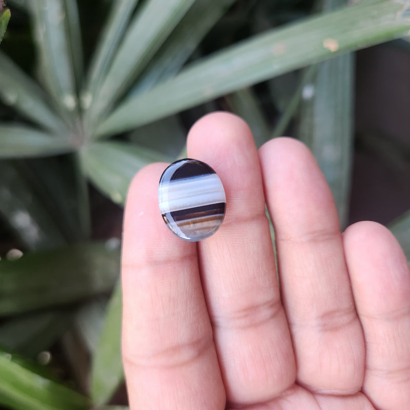 Sulemani  Hakik Stone- 15.86 Carat