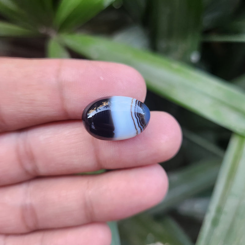 Sulemani  Hakik Stone- 14.39 Carat