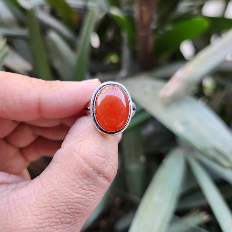 Certified Carnelian Adjustable Rings- Ring 31
