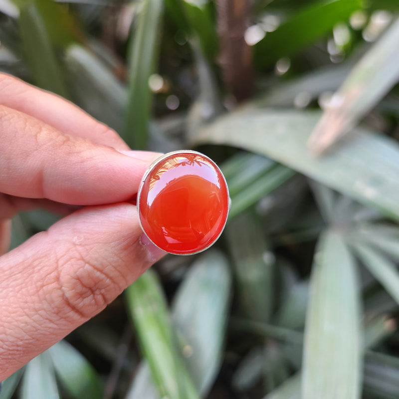 Certified Carnelian Adjustable Rings- Ring 36