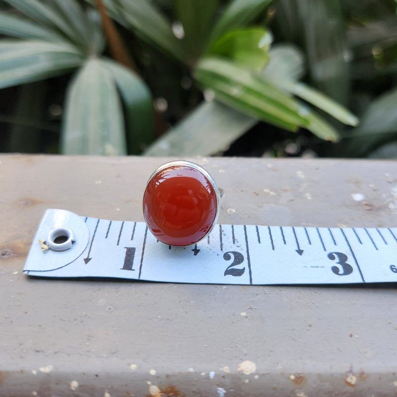 Certified Carnelian Adjustable Rings- Ring 36
