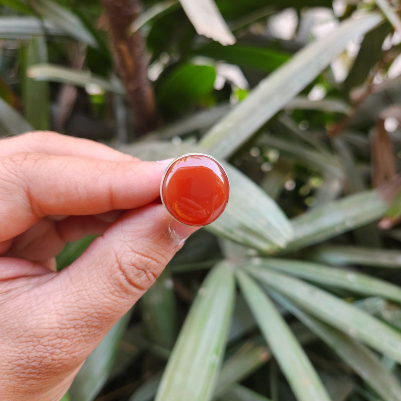 Certified Carnelian Adjustable Rings- Ring 44