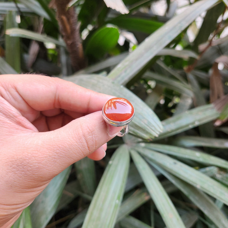 Certified Carnelian Adjustable Rings- Ring 44