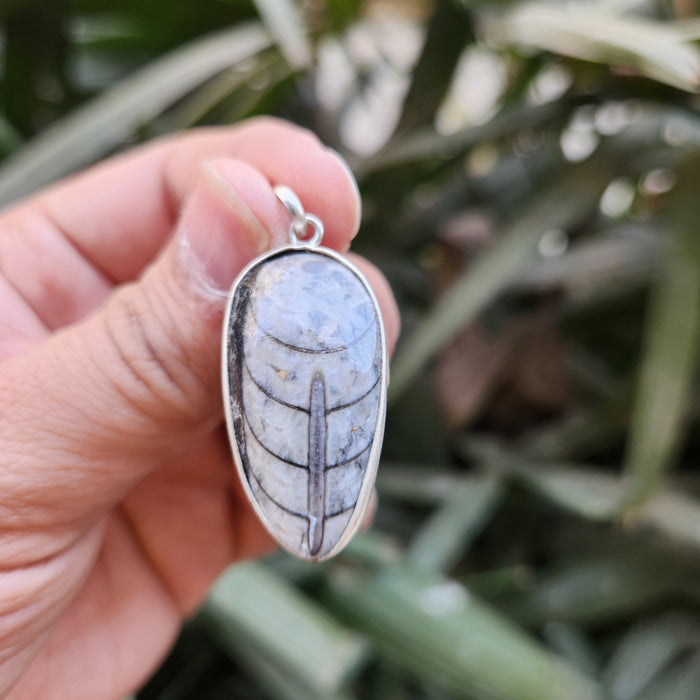 Certified & Energised Kuber Orthoceras Pendant