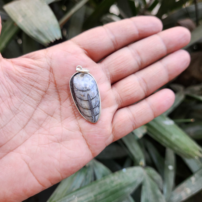 Certified & Energised Kuber Orthoceras Pendant