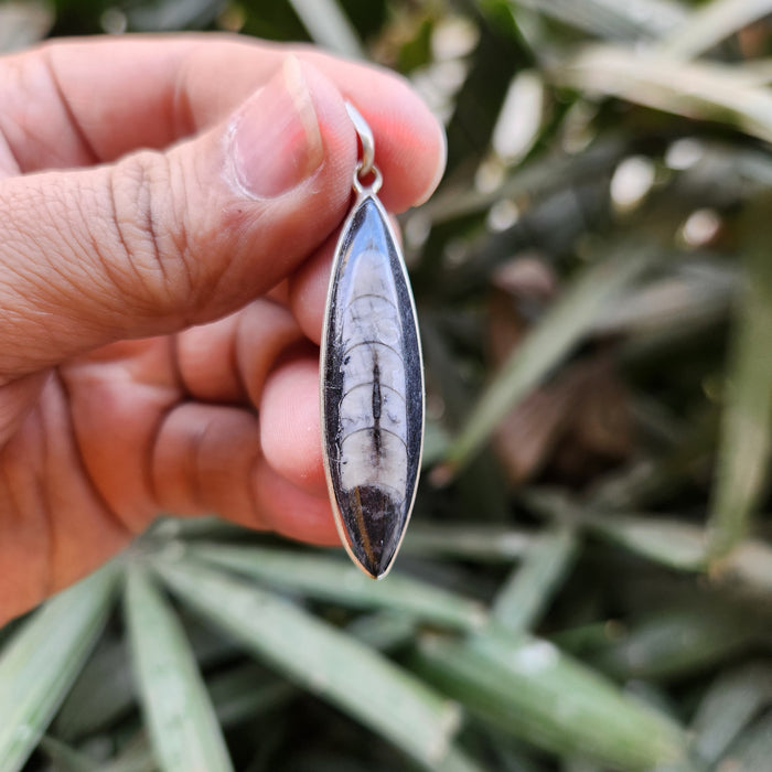 Certified & Energised Kuber Orthoceras Pendant