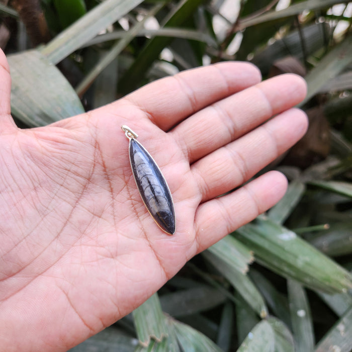 Certified & Energised Kuber Orthoceras Pendant