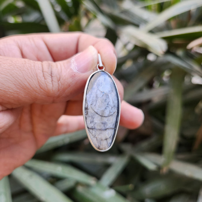 Certified & Energised Kuber Orthoceras Pendant