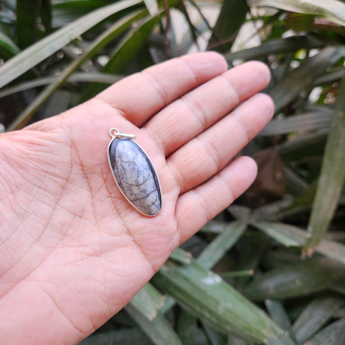 Certified & Energised Kuber Orthoceras Pendant