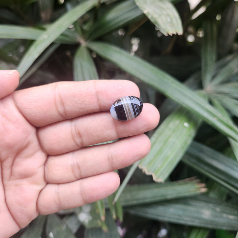 Sulemani  Hakik Stone- 13.69 Carat