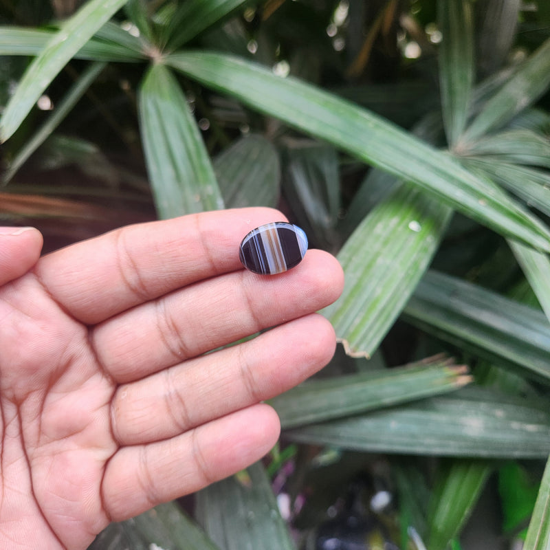 Sulemani  Hakik Stone- 13.69 Carat
