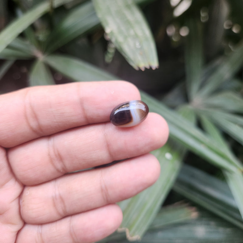Sulemani  Hakik Stone- 9.48 Carat