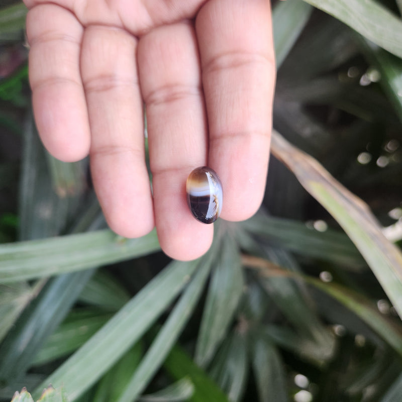 Sulemani  Hakik Stone- 9.48 Carat