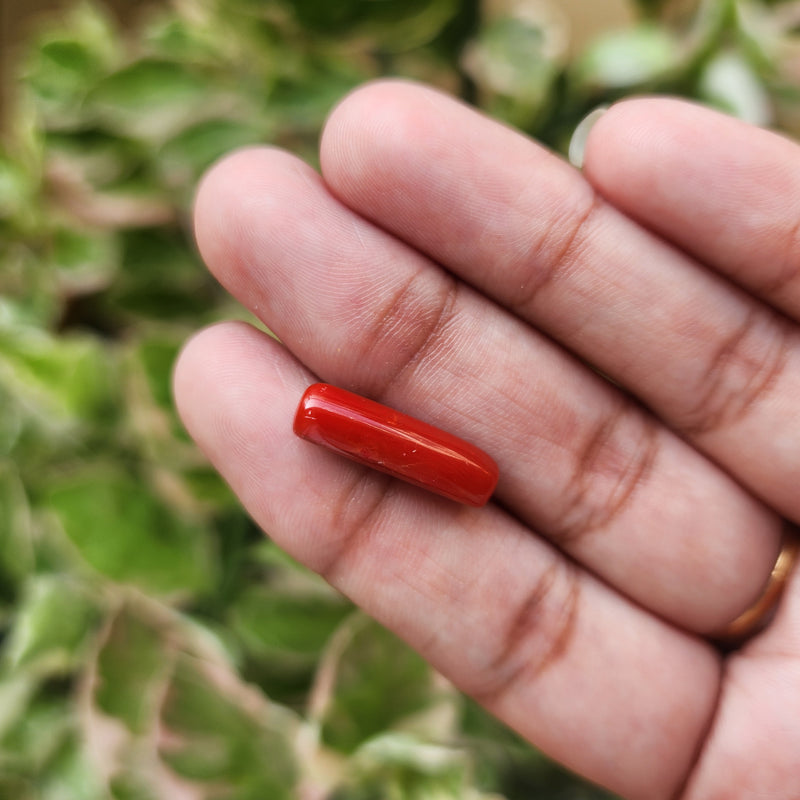 Red Coral (Moonga) Semi-Precious Gemstone-4.79 Carat