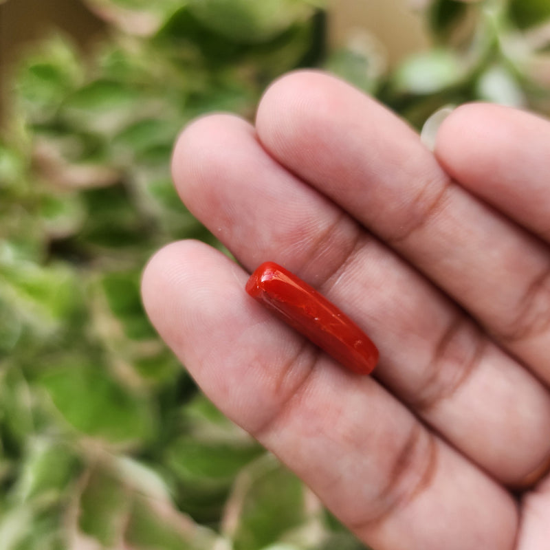 Red Coral (Moonga) Semi-Precious Gemstone-4.79 Carat
