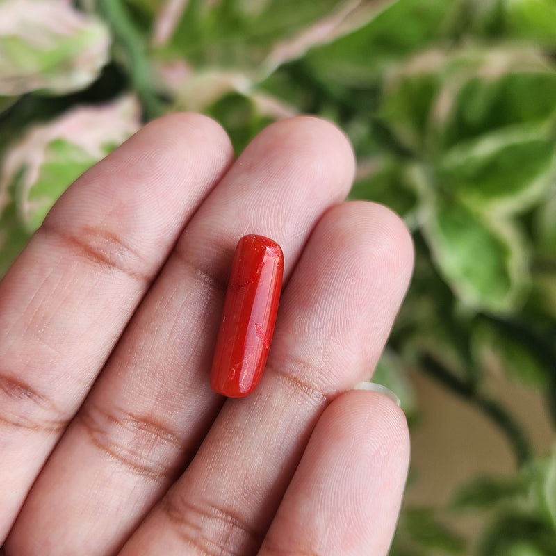 Red Coral (Moonga) Semi-Precious Gemstone-4.98 Carat