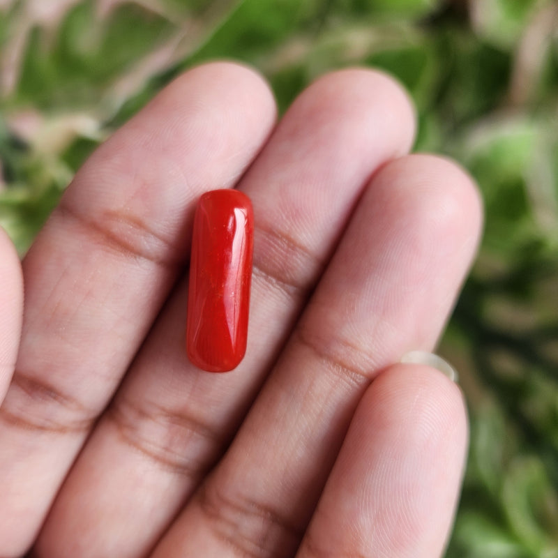 Red Coral (Moonga) Semi-Precious Gemstone-4.98 Carat