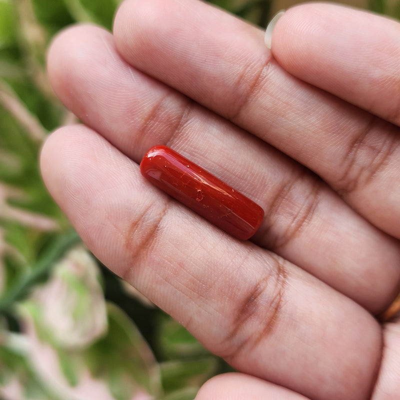 Red Coral (Moonga) Semi-Precious Gemstone-5.40 Carat
