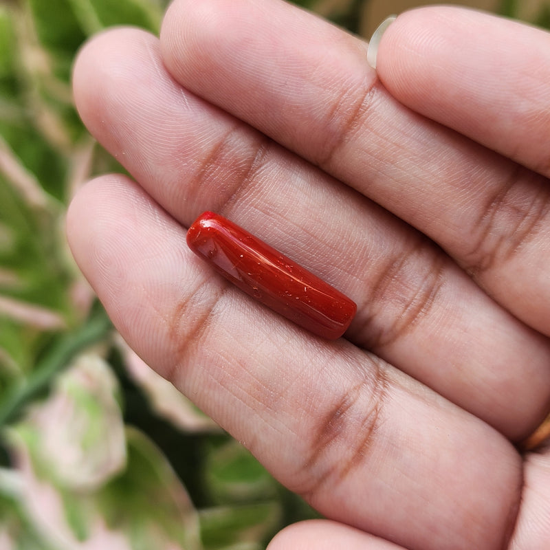 Red Coral (Moonga) Semi-Precious Gemstone-5.40 Carat