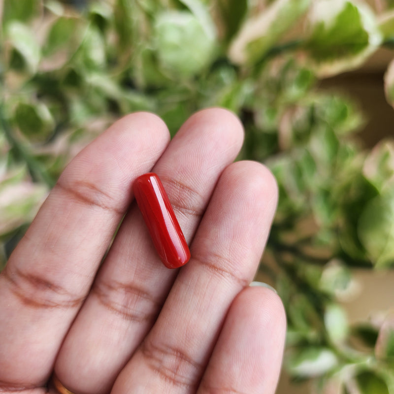 Red Coral (Moonga) Semi-Precious Gemstone-4.03 Carat