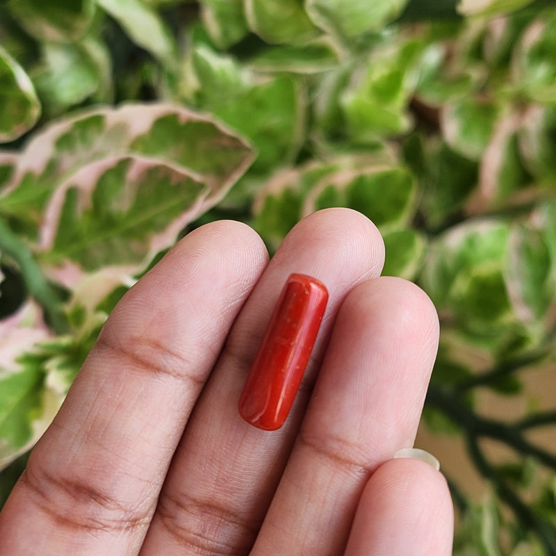 Red Coral (Moonga) Semi-Precious Gemstone-5.67 Carats