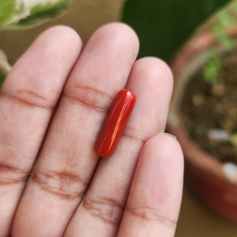 Red Coral (Moonga) Semi-Precious Gemstone-4.17 Carats