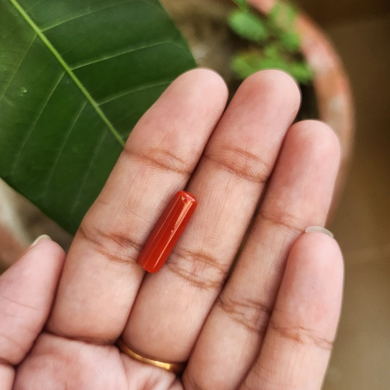 Red Coral (Moonga) Semi-Precious Gemstone-4.17 Carats