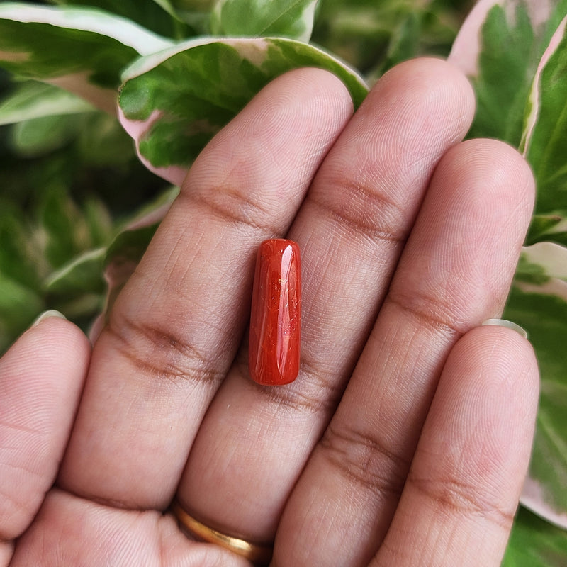Red Coral (Moonga) Semi-Precious Gemstone-5.39 Carats