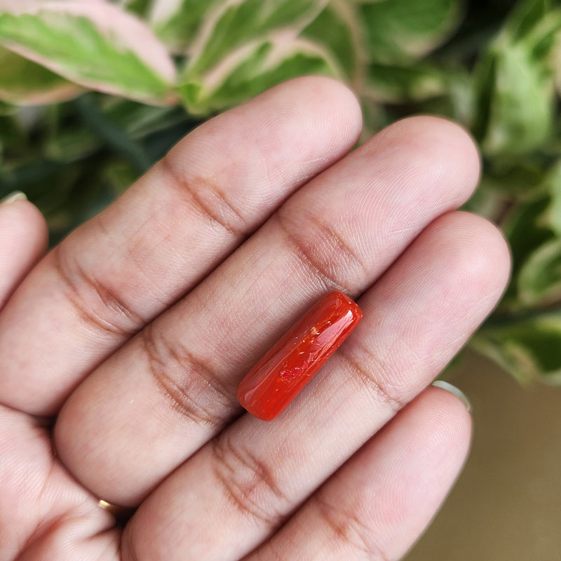 Red Coral (Moonga) Semi-Precious Gemstone-5.39 Carats