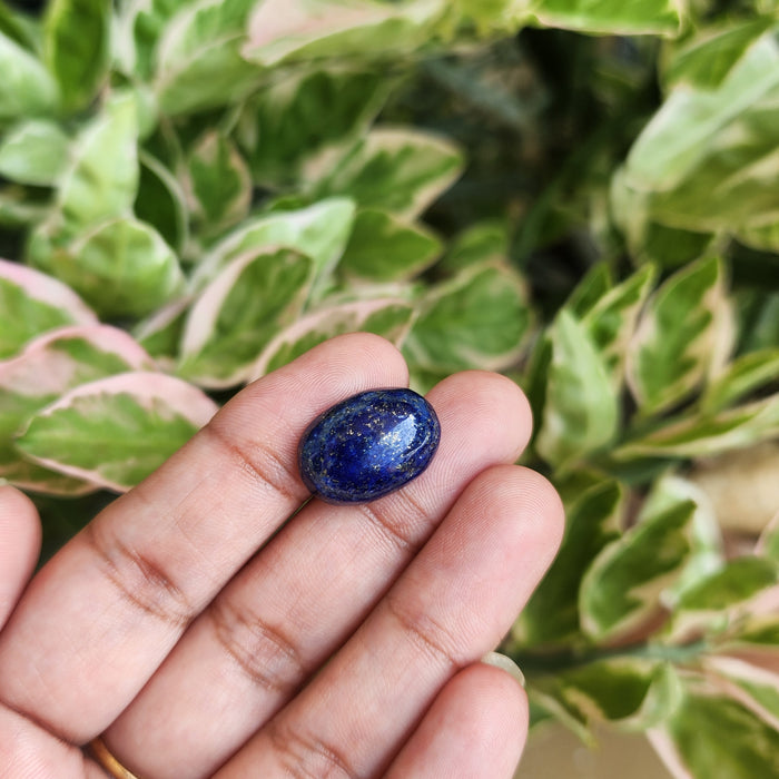 Lapis Lazuli Gemstone - 12.05 Carat