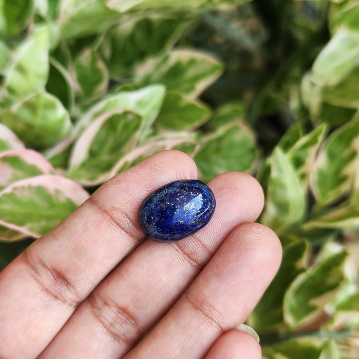 Lapis Lazuli Gemstone - 12.05 Carat