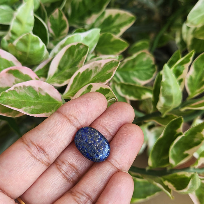 Lapis Lazuli Gemstone - 12.05 Carat